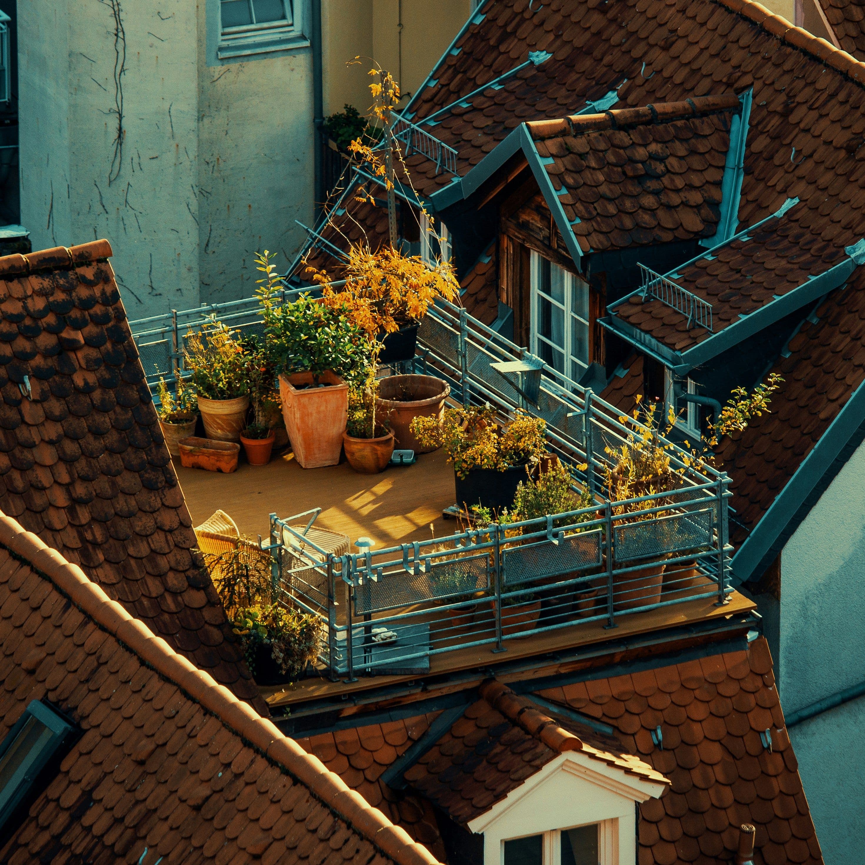 Estrategias para tu jardín en balcones pequeños